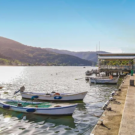 Amazing In With Wifi *